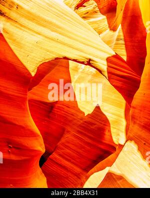 Die glatten geschwungenen Wände aus rotem Navajo-Sandstein des Rattlesnake Canyon, einer der berühmten Slot Canyons in den Navajo landet in der Nähe von Page Arizona, USA Stockfoto