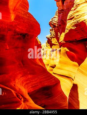 Die glatten geschwungenen Wände aus rotem Navajo-Sandstein des Rattlesnake Canyon, einer der berühmten Slot Canyons in den Navajo landet in der Nähe von Page Arizona, USA Stockfoto