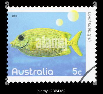 Australien - ca. 2010: Eine gebrauchte Briefmarke aus Australien, ein Bild von einem Korallen-Kaninchen, ca. 2010. Stockfoto