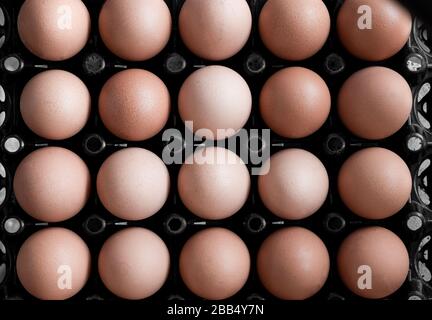 Nahaufnahme von Hühnereiern im Paket. Stockfoto