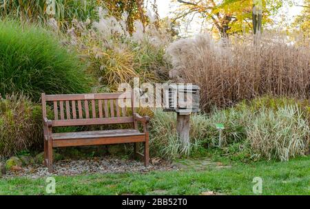 Frühherbstliche Parklandschaft. Alte Holzbank und Holzpostfach vor hohem grünen und gelben Trockenrasenhintergrund. Stockfoto