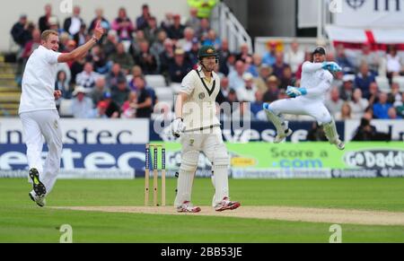 Englands Stuart Broad und Matt Prior nehmen das Wicket des australischen Shane Watson während des zweiten Tages des vierten Investec Ashes Testspiels im Emirates Durham IKG, Durham. Stockfoto