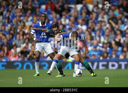 Evertons Leon Osman kämpft um den Ball Stockfoto