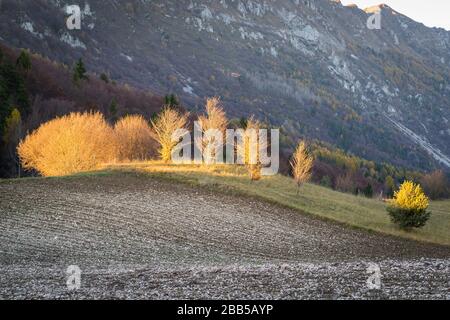 Natur Trentino Land, Gresta Valley, Italien, Anfang Frühling Stockfoto