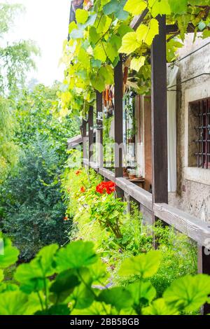 Ein Balkon in einem historischen Bauernhaus in Trient, Italien. Der Balkon öffnet das obere Stockwerk. Hier sind Blumenkannen und viele Gegenstände. Stockfoto