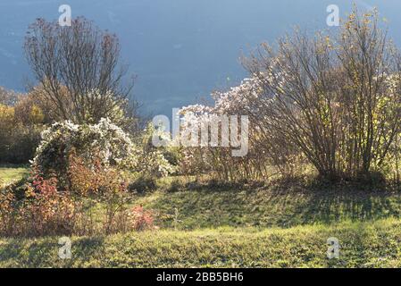 Natur Trentino Land, Gresta Valley, Italien, Anfang Frühling Stockfoto