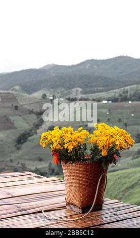 Frische Blumen werden auf hohen Bergen in vielen Farben gepflanzt, die in Gruppen angeordnet sind, die in einem speziellen Korb verpackt sind, der die Rückenbrücke sein kann. Blick auf die mou Stockfoto