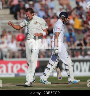 Der australische Bowler Peter Siddle feiert das Mitnehmen von Wicket des englischen Schlagmannes Joe Root Stockfoto