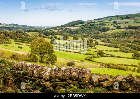 Ein Sommertag, Trockenmauern und offene Felder. Blick über das Esk Valley, North Yorkshire Moors. Stockfoto