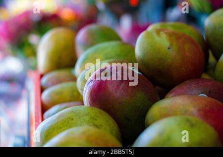Nahaufnahme von gestapelten Mangos Stockfoto