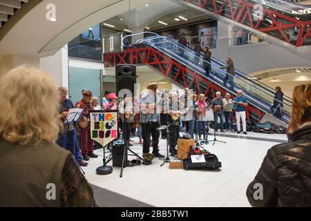 Eine große Gruppe von Musikern, die an einer Big Busk Veranstaltung in einem Einkaufszentrum in Shrewsbury, Großbritannien, mit Hilfe von Obdachlosen teilnehmen. Stockfoto