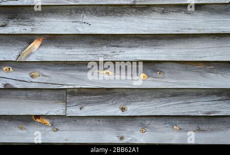 Horizontaler Nahschuss aus alter breiter Holzvertäfelung mit Knöcheln. Stockfoto