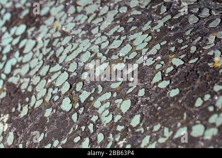 Alte, gerissene Farben abstrakter Makrohintergrund hochwertige, moderne Drucke Stockfoto