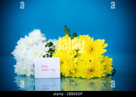 Blumenstrauß aus weißen Chrysanthemen mit Grußkarte für Mutter auf blauem Hintergrund Stockfoto