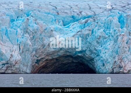 Seevögel, die am Eingang der riesigen Eishöhle im Kongsbreen-Gletscher fliegen, die in Kongsfjorden, Spitzbergen/Spitzbergen, Norwegen kalken Stockfoto