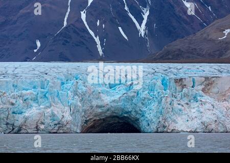 Seevögel, die am Eingang der riesigen Eishöhle im Kongsbreen-Gletscher fliegen, die in Kongsfjorden, Spitzbergen/Spitzbergen, Norwegen kalken Stockfoto