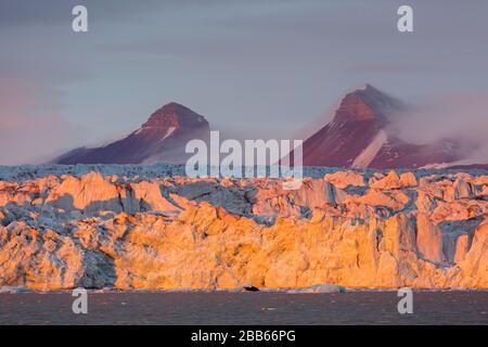 Kongsbreen-Gletscher in Abendlicht bei Sonnenuntergang, mit Calving in Kongsfjorden, Svalbard/Spitzbergen, Norwegen Stockfoto