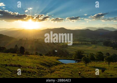 Sonnenuntergang über dem Tweed Valley und Border Ranges National Park, New South Wales, Australien Stockfoto