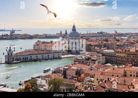 Venedig-Panorama, Santa Maria della Salute vom Campanile, Italien Stockfoto