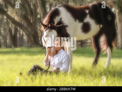 Ein zärtlicher Moment mit reifer Frau und einem Hengst aus American Paint Quarter Horse unter großen Live Oak Trees Stockfoto