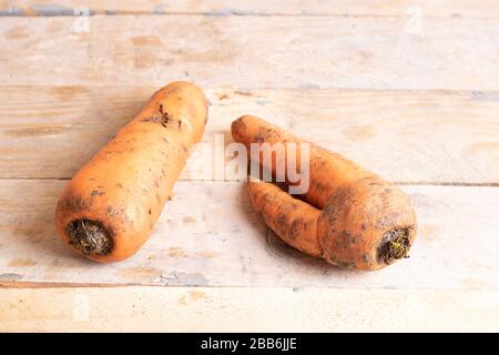 Zwei hässliche Karotten liegen auf Holztisch im Landhausstil. Flaches Lay Stockfoto