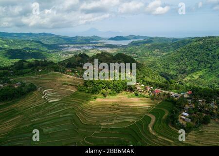 Luftaufnahme von terrassierten Reisfeldern, Mareje, Lombok, West Nusa Tenggara, Indonesien Stockfoto