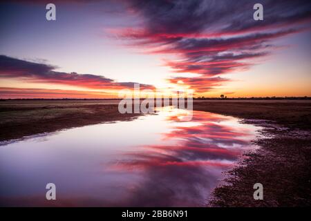 Sonnenuntergangsreflexionen in einem Wasserloch im Outback, Queensland, Australien Stockfoto