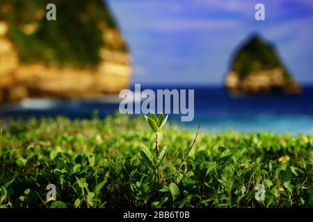 Strand von Bile Sayak, Naturpark Gunung Tunak, Kuta Mandalika, Indonesien Stockfoto