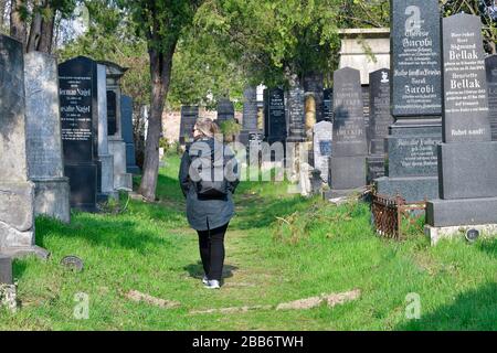 Wien, Österreich. Der Wiener Zentralfriedhof an einem milden Frühlingstag Stockfoto