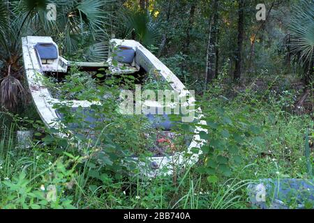 Oktober 2014 - Altes verlassene Ruderboot im Wald Stockfoto