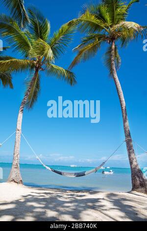 Weiße Hängematte zwischen hohen Palmen wurde an einem schönen Strand fotografiert Stockfoto