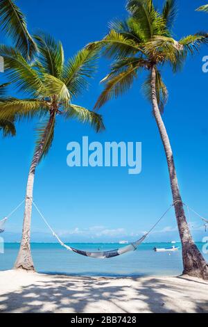 Weiße Hängematte zwischen hohen Palmen wurde an einem schönen Strand fotografiert Stockfoto