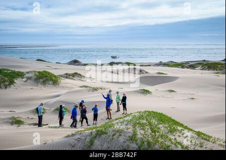 Tour zum Whale Watching von Sea Kayak Adventures in Bahia Magdalena, Baja California sur, Mexiko. Stockfoto