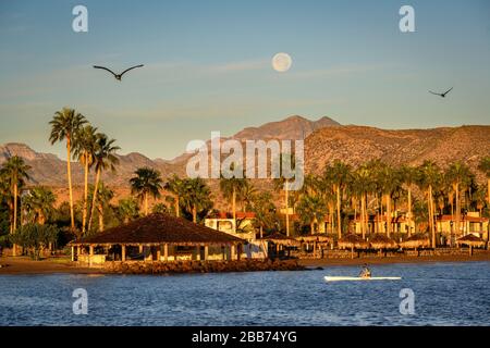 Frauen, die am Strand in Loreto, Baja California sur, Mexiko Kajak fahren. Stockfoto