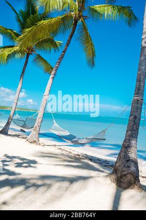 Weiße Hängematte zwischen hohen Palmen wurde an einem schönen Strand fotografiert Stockfoto