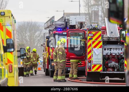 Southend-on-Sea, Großbritannien. März 2020. Feuerwehrleute, Rettungswagen und Polizei sind am Tatort bei einem nicht genutzten Ladenbrand in der Hamlet Court Road, Westcliff-on-Sea, einem Vorort von Southend-on-Sea, unterwegs. Der Essex Fire Service hatte sechs Feuerwehrfahrzeuge am Einsatzort und das Feuer wurde schnell unter Kontrolle gebracht. Die Brandursache ist derzeit unbekannt und es wird eine Untersuchung durchgeführt. Penelope Barritt/Alamy Live News Stockfoto