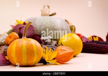 Minimalistischen Hintergrund mit Kürbissen, Gelbe und Rote Blätter im Herbst gegen sanften Beige Hintergrund mit kopieren. Gut für Social Media Beiträge zur Hölle Stockfoto