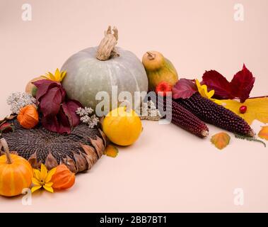 Minimalistischen Hintergrund mit Kürbissen, Gelbe und Rote Blätter im Herbst gegen sanften Beige Hintergrund mit kopieren. Gut für Social Media Beiträge zur Hölle Stockfoto