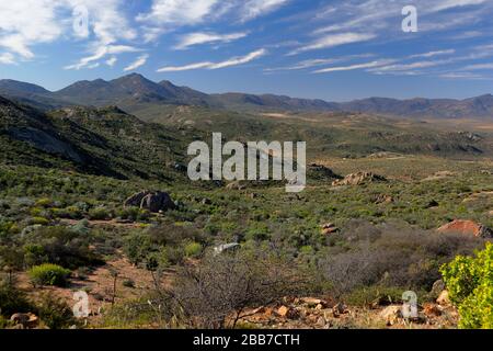 Landschaften in der Nähe von Charkams bei Kammieskroon in Namaqualand, Nordkaper, Südafrika Stockfoto