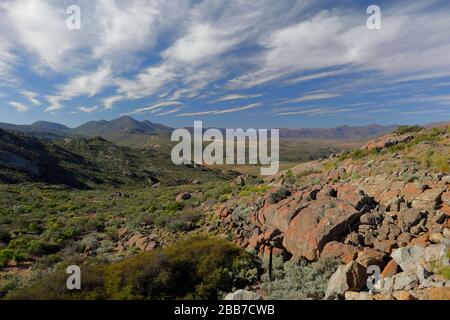 Landschaften in der Nähe von Charkams bei Kammieskroon in Namaqualand, Nordkaper, Südafrika Stockfoto