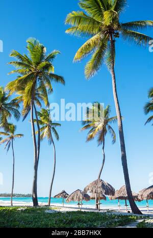 Ungewöhnlich schönen sonnigen beach ball fotografiert auf einem Spaziergang Stockfoto