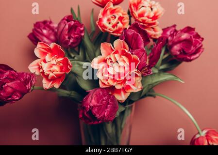 Schöner Bund aus Tulpen im Pony- und Papageienstil in der Vase auf dem staubigen pinkfarbenen Hintergrund, Frühlingsferienkonzept, Kopierraum Stockfoto