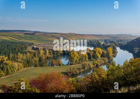 Blick über das idyllische Maintal, die Weinberge, die Mainschleife bei der Stadt Volkach mit der Wallfahrtskirche Maria im Weingarten im Herbst mit c Stockfoto