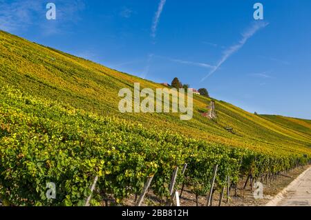 Blick über die idyllischen Weinberge im Dorf Eschldorf, Stadt Volkach an der Mainschleife mit Schloss Vogelsburg im Herbst mit bunten Blättern, so Stockfoto