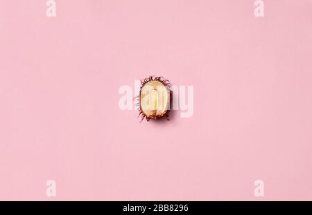 Thailändische Früchte. Rambutan isoliert auf rosa Kopierfläche Stockfoto