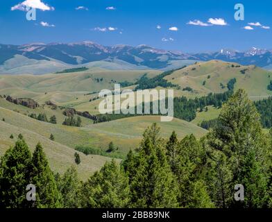 Vom Lemhi-Pass aus in der Nähe von Grant, montana, aus betrachtet, sind die Berge von Biesehead Stockfoto