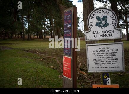 Ein Schild über das Land des nationalen Vertrauens, das besagt, dass wir auf Regierungsraten geschlossen sind. Das Land ist Half Moon Common am Rande des New Forest Hampshire. Stockfoto