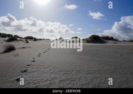 Fußstapfen in neu entstandenen Dünen beim zandmotorischen Projekt in Kijkduin, den Haag Stockfoto