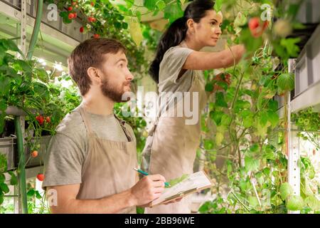 Junge Frau untersucht Pflanzen, während ihre Assistentin Informationen über Pflanzenwachstum im Gewächshaus aufzeichnet Stockfoto