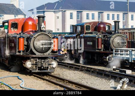 Die Ffestiniog Railway im Jahr 2010 Stockfoto